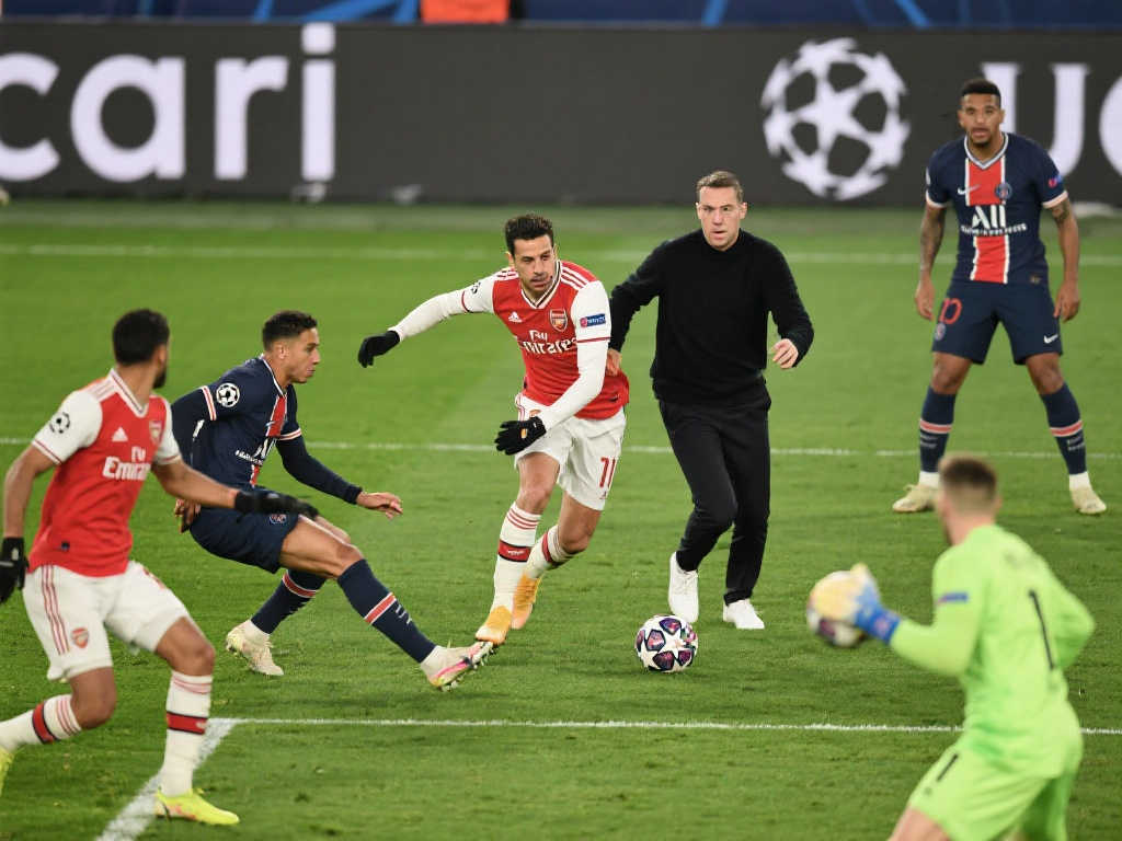 增添了砝码 增添了砝码